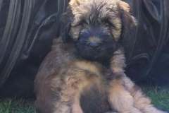 490809475_122110742702826073_5629862346083964534_n