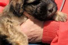 490924902_122110742600826073_8279101607445412407_n