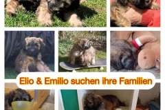 491228705_122110742426826073_3709156119950422111_n