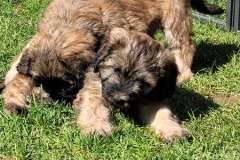 491622685_122110742888826073_8518507737047543478_n