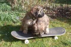 491764354_122110742792826073_4384156680538301527_n