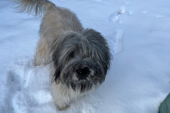 bdb9278dfc5afbe6fe51b42c63c853193a462dbf