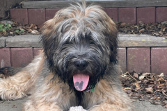 da53043fdd4ba7ac1d396b3f48fbdf79e71e7964