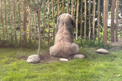 0bd898e39854a3ea6034db5b4bfb2e37c1bc9b33