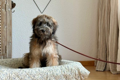 10f5ec57100411a64e814fb9ccee12d8d5ccc0ac