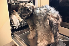 ebeda6cf0548da9fcf396d034d597511580065f3