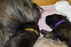 3-Mutter-mit-Töchtern