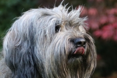 1634580524032_08091521