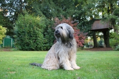 1634580524097_080948