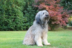 1634580524118_081013