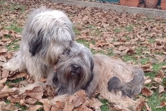 IMG_20211128_1325103-2