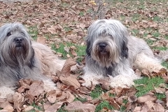 IMG_20211128_1325563-2