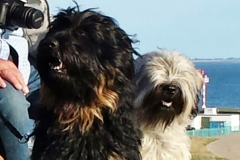 Nana und Woody in trauter Zweisamkeit