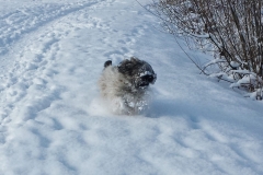 noch kann ich schnell...