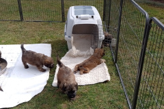 IMG_20250321_143257_MP