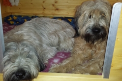 Platz für die Hebamme